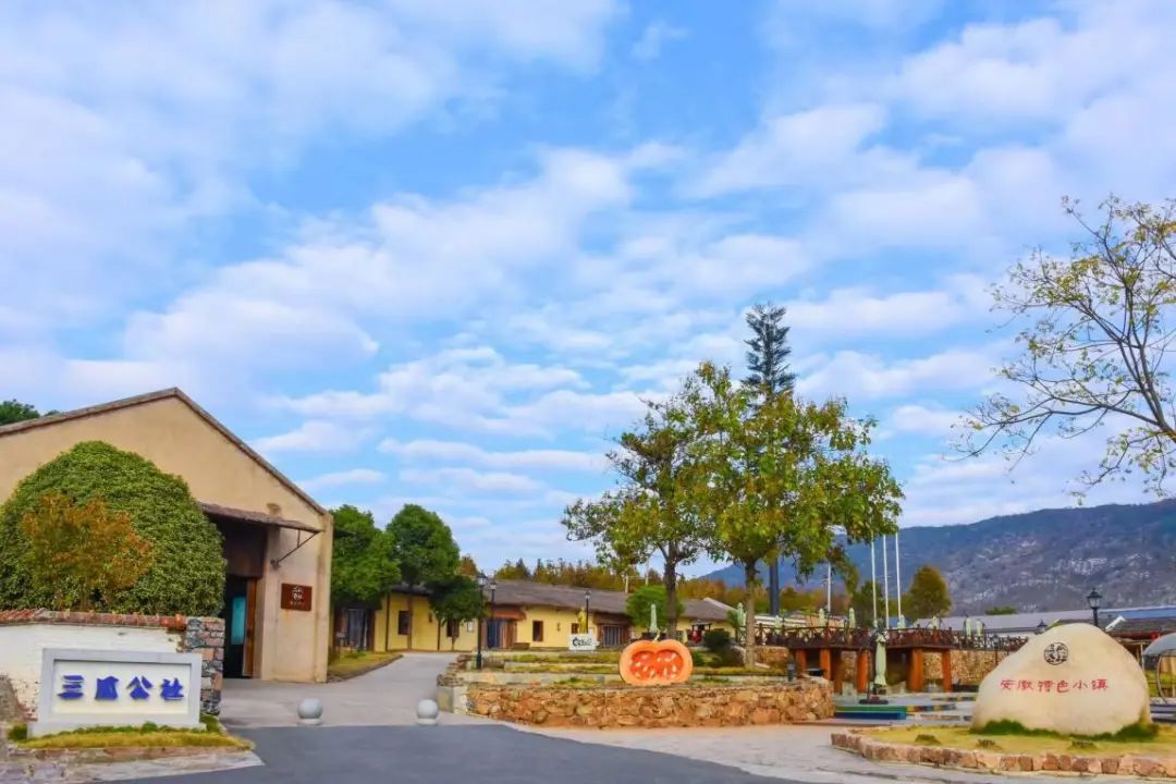 人寿的保安徽免泰康保险知有用司识分公费豁