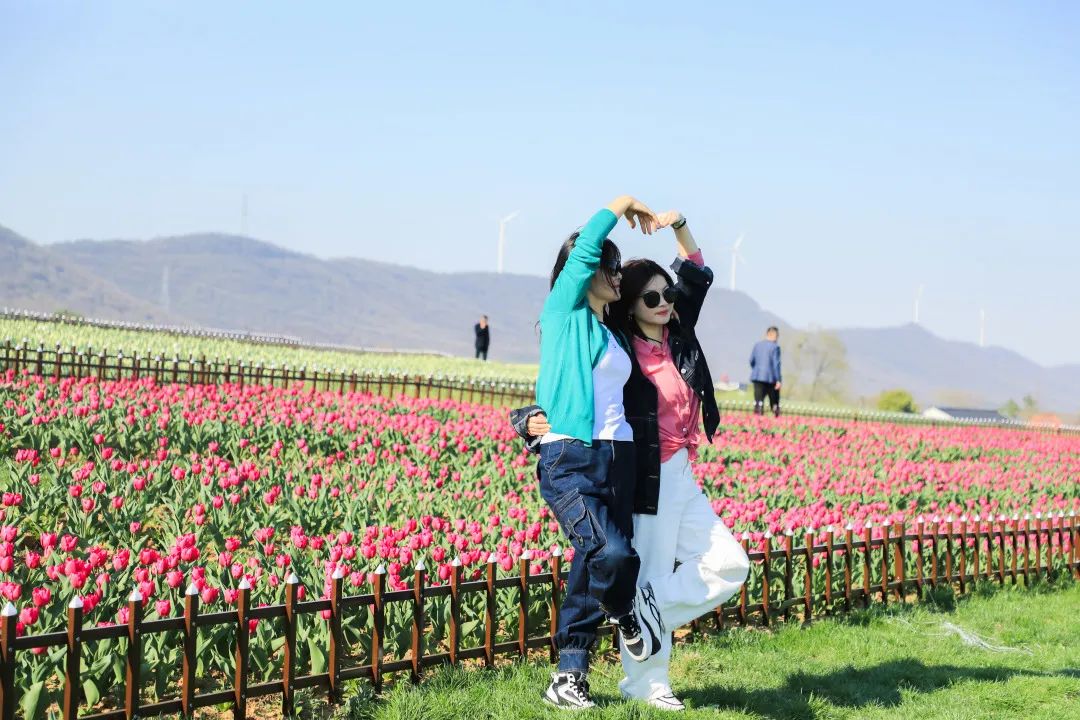 念平汉阴冯卫返乡创业茶经