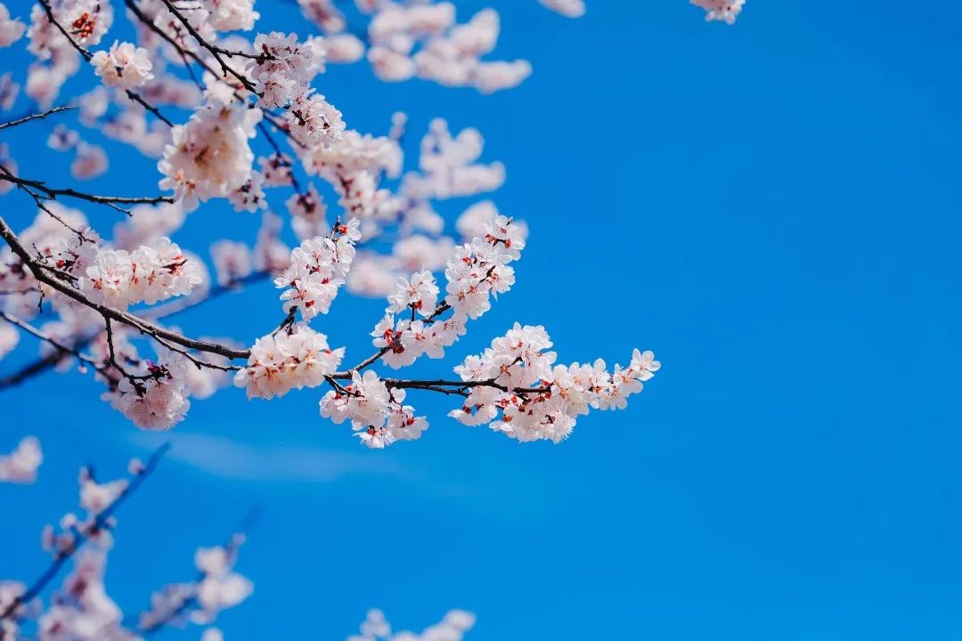 人工日开大赛中国智能数字赛道赛复赛创新