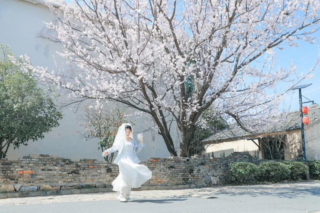 人工日开大赛中国智能数字赛道赛复赛创新