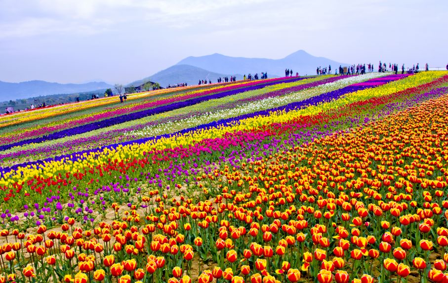 汉阴县初级中学迎接县教体局2024年秋季教学常规督查