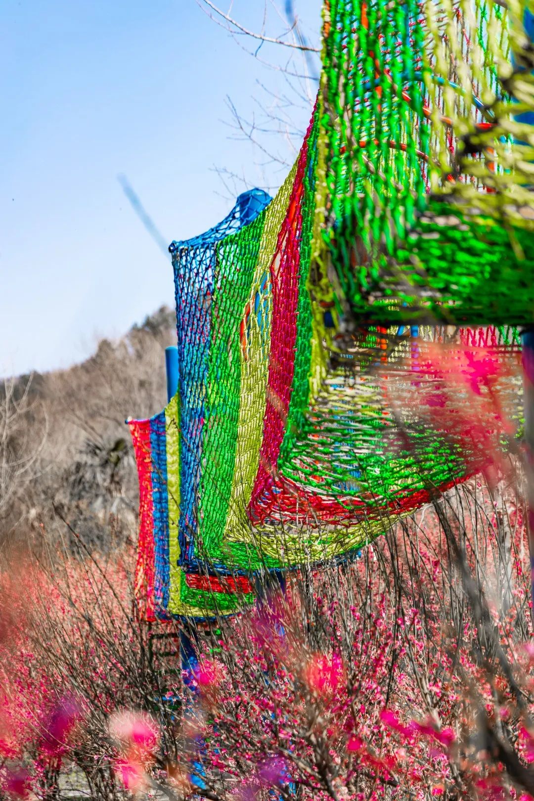 能乡兴金融合肥惠农活水中信贮贷银行青分行，赋村振