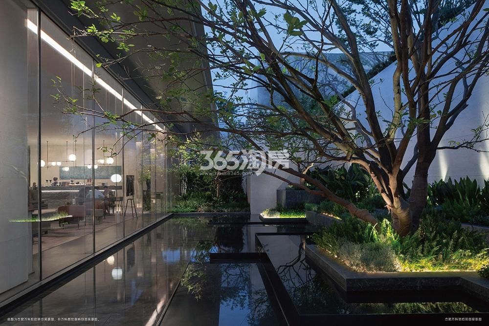 合肥万科朗拾实景图_合肥万科城改朗拾·森屿_合肥新房网_365淘房