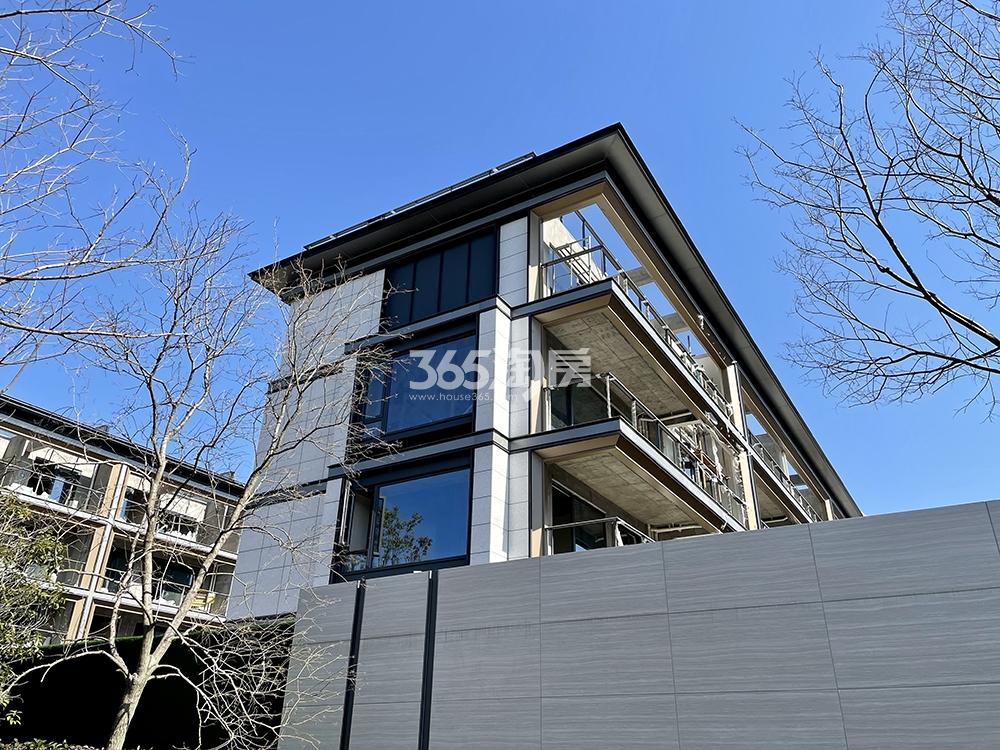 大华春山明月台树样板区实景