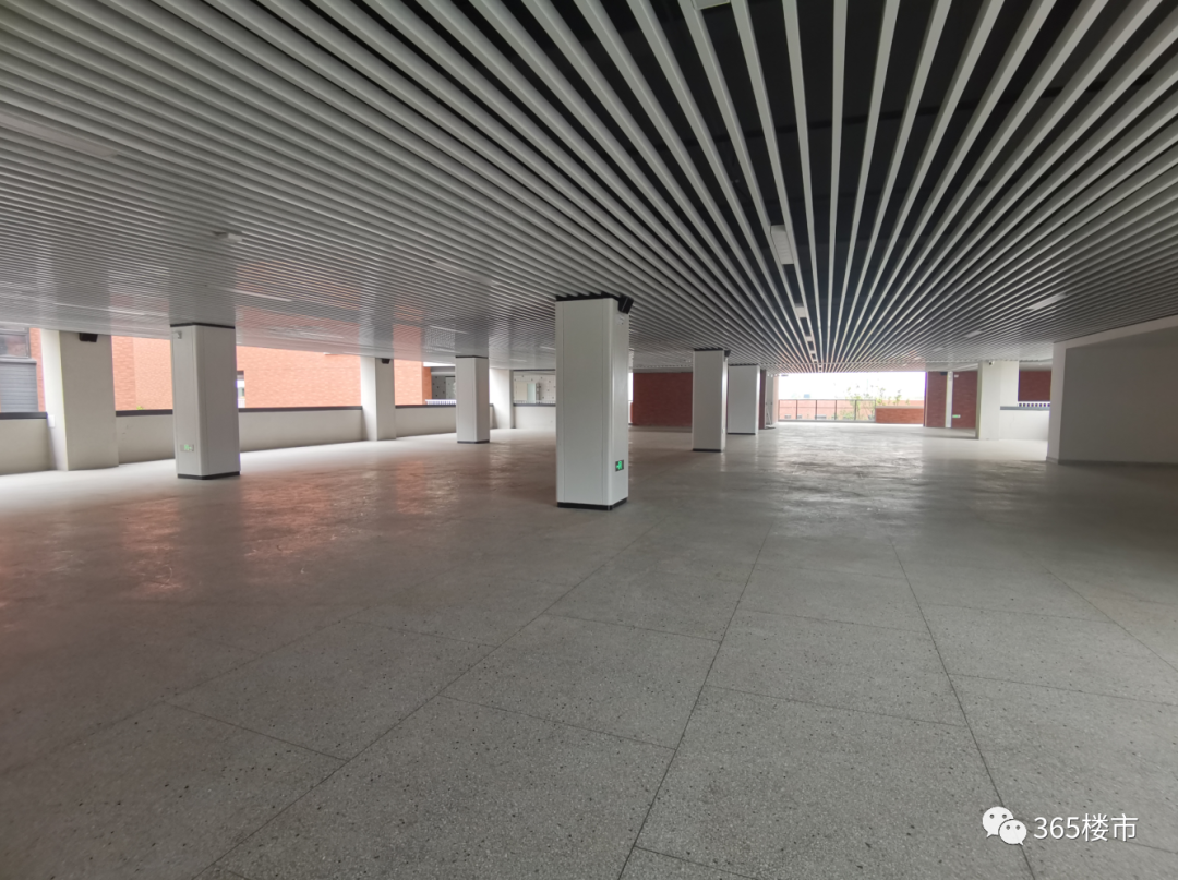 名校兑现!南外南部新城2大新校内景曝光!网友惊呼:赢麻了!-南京365淘房