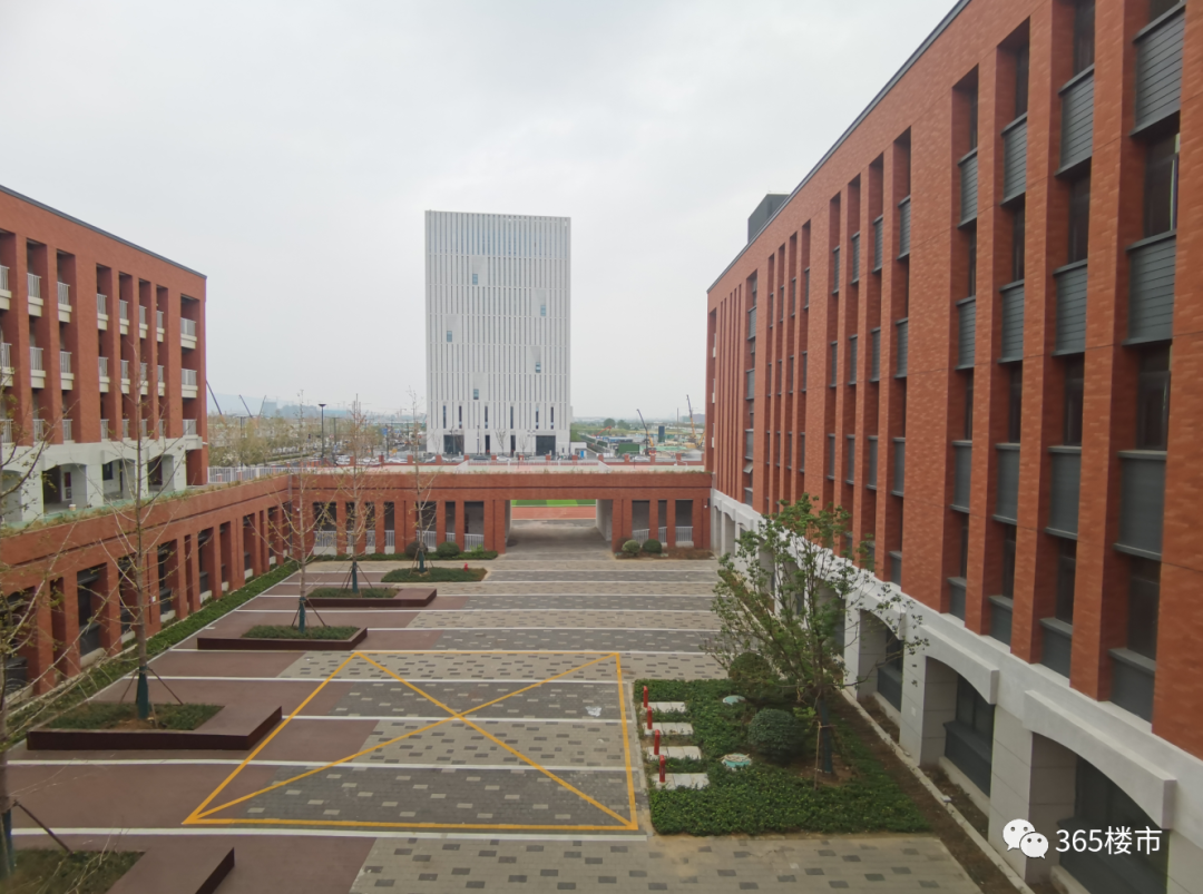 名校兑现!南外南部新城2大新校内景曝光!网友惊呼:赢麻了!-南京365淘房