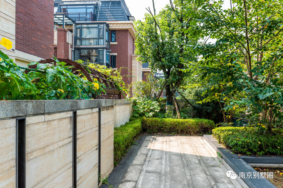 泡在主城茶香里的百平大院南京主城竟还隐藏着这样的低密墅居